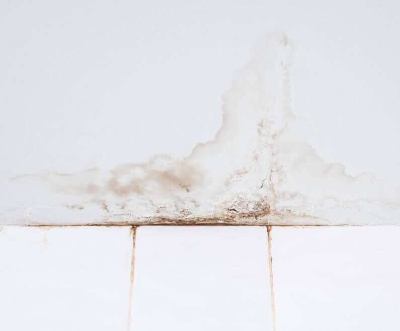 Common Causes of Home Water Damage