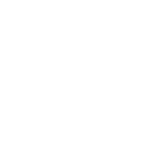 about-feature-icon-2