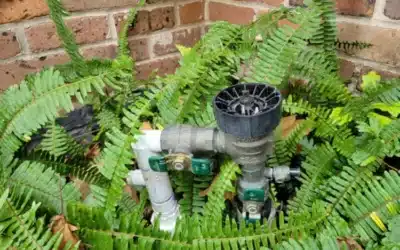 What Is a Backflow Preventer? A Columbia SC Guide to Cross Connection Protection